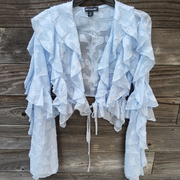 PrettyLittleThing Tops - Prettylittlething Baby Blue Floral Organza Ruffled Sheer Tie Crop Top Size 4